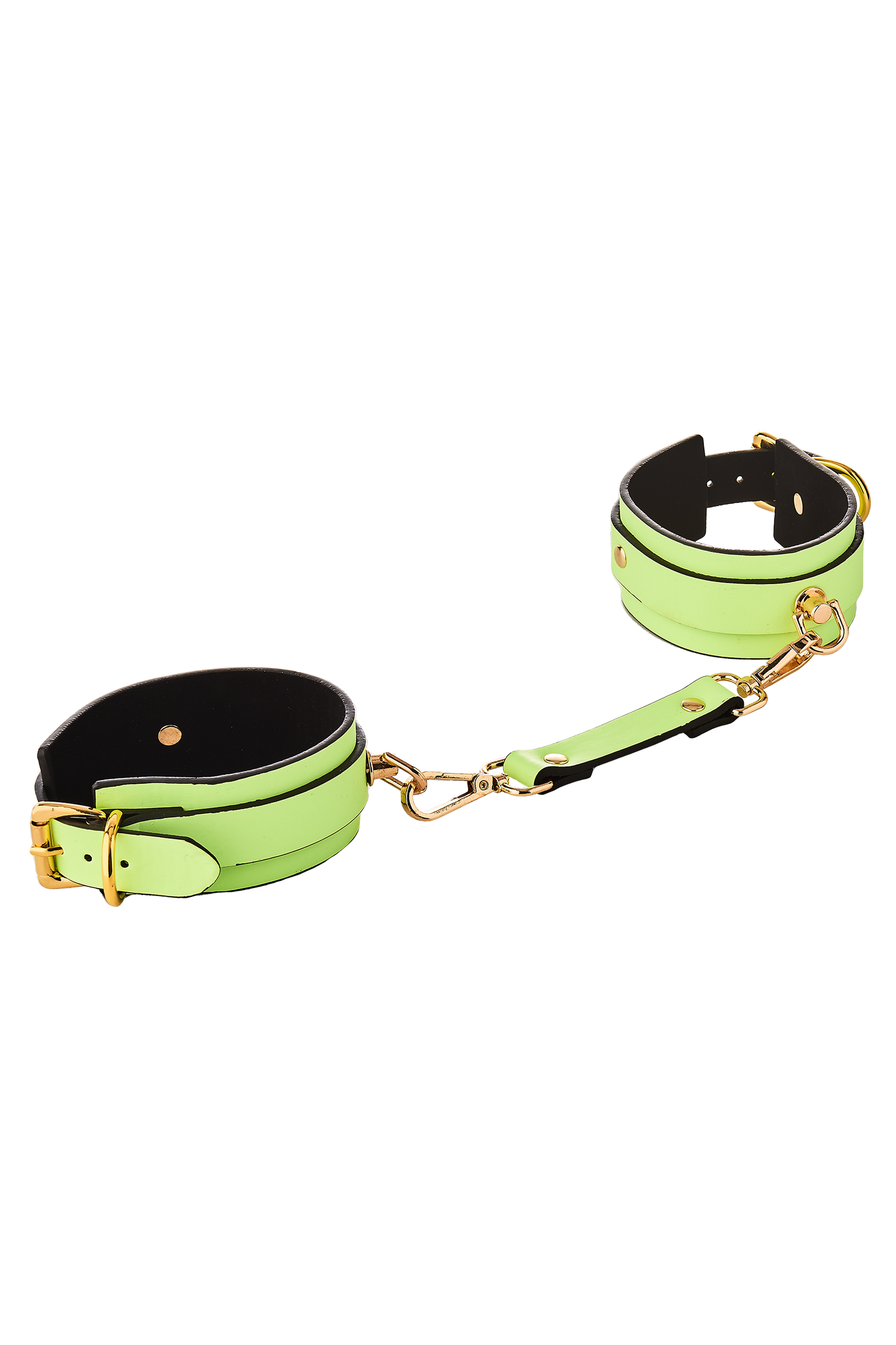 923dd3_cf0d1d743824452586ec2c9394730065mv2