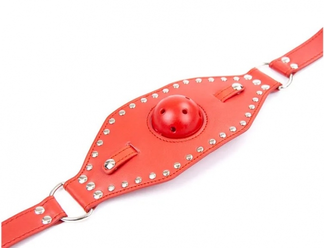 923dd3_e4503a6b818145fc9f6c4551f965464bmv2